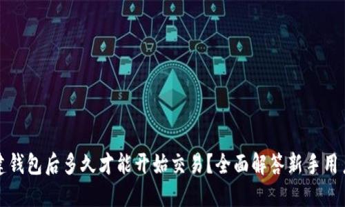 TP新建钱包后多久才能开始交易？全面解答新手用户疑问