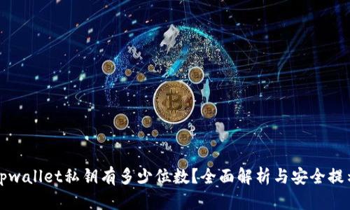tpwallet私钥有多少位数?全面解析与安全提示