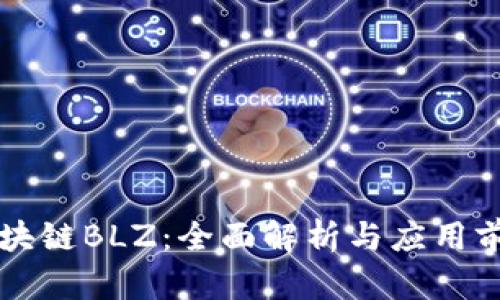 区块链BLZ:全面解析与应用前景