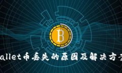 TP Wallet币丢失的原因及解决方案详解