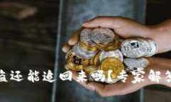 tpwallet被盗还能追回来吗？专家解答与
