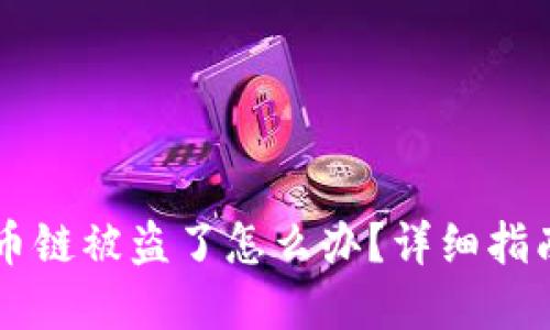 TPWallet火币链被盗了怎么办?详细指南与解决方案