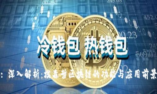 : 深入解析:埃森哲区块链的功能与应用前景