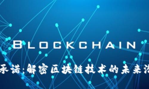 区块链的承诺:解密区块链技术的未来潜力与应用