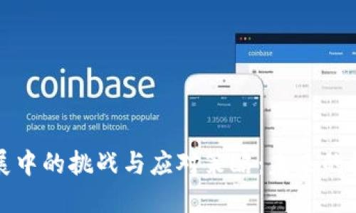 区块链发展中的挑战与应对策略:未来的机遇与风险