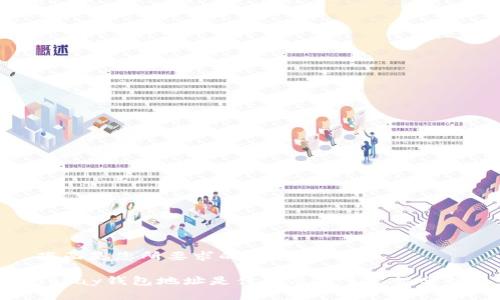 下面是您所要求的内容:
Topay钱包地址是什么及其重要性分析