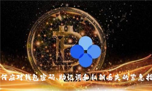 如何应对钱包密码、助记词和私钥丢失的紧急指南
