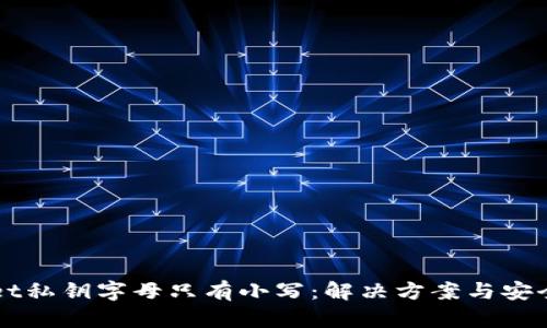 TPWallet私钥字母只有小写:解决方案与安全性分析