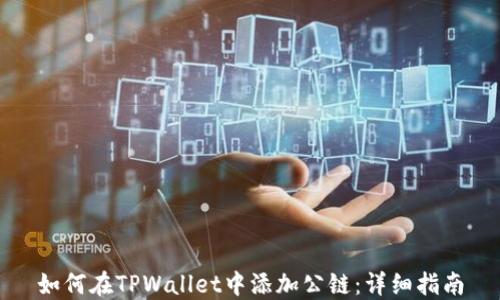 如何在TPWallet中添加公链:详细指南