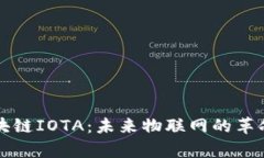 深入解析区块链IOTA：未来物联网的革