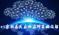 tpwallet密钥丢失后的应对策略与解决方