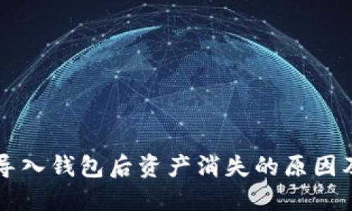 TPWallet导入钱包后资产消失的原因及解决方案