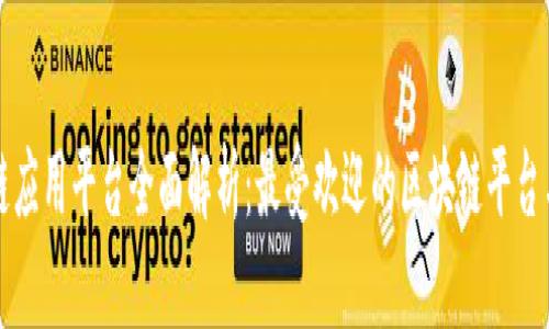 区块链应用平台全面解析:最受欢迎的区块链平台与用例