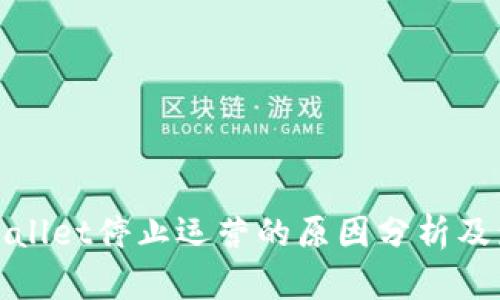 TPWallet停止运营的原因分析及影响