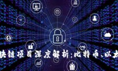 全球最大区块链项目深度解析：比特币