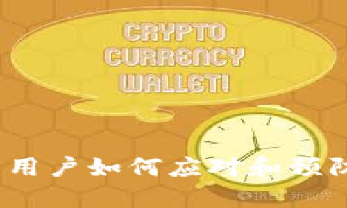 TPWallet闪兑被盗:用户如何应对和预防数字资产安全风险