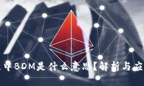 区块链中BDM是什么意思?解析与应用实例
