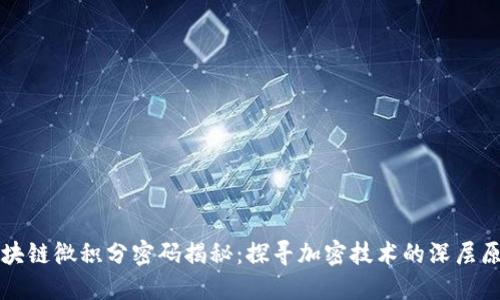 区块链微积分密码揭秘:探寻加密技术的深层原理