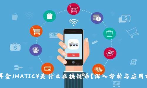 马耳金(MATIC)是什么区块链币?深入分析与应用前景