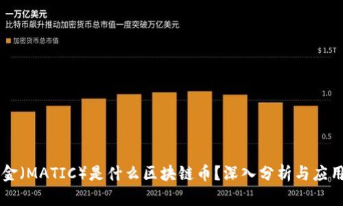 马耳金(MATIC)是什么区块链币?深入分析与应用前景
