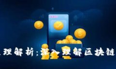 区块链的实验原理解析：深入理解区块
