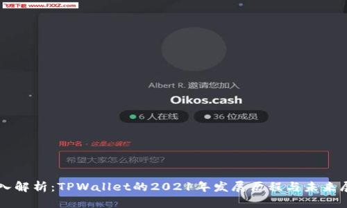 深入解析:TPWallet的2021年发展历程与未来展望