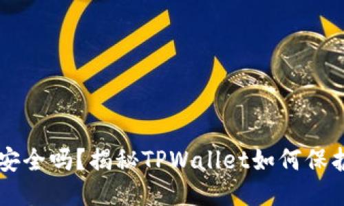 TPWallet安全吗?揭秘TPWallet如何保护用户私钥