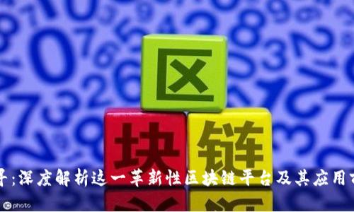 千寻:深度解析这一革新性区块链平台及其应用前景