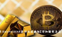 雷纳币（RenrenBit）是什么区块链？详细
