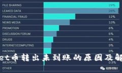 tpwallet币转出未到账的原因及解决方案
