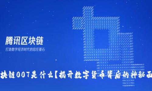 区块链007是什么?揭开数字货币背后的神秘面纱
