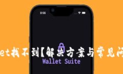 TPWallet找不到？解决方案与常见问题解