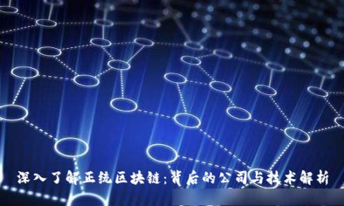 深入了解正统区块链:背后的公司与技术解析
