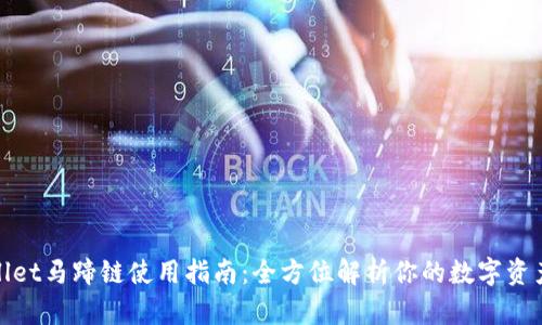 tpwallet马蹄链使用指南:全方位解析你的数字资产管理