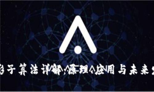 区块链影子算法详解：原理、应用与未来发展趋势