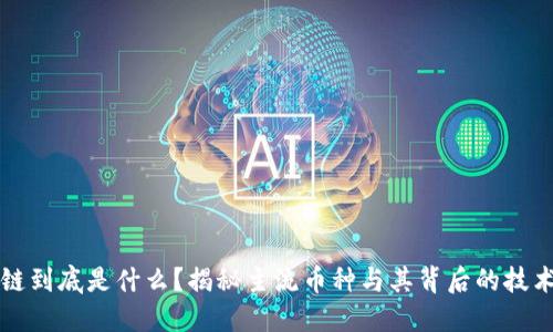 区块链到底是什么?揭秘主流币种与其背后的技术原理