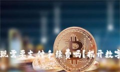 TPWallet提现需要支付手续费吗？揭开数