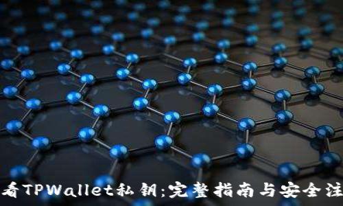  
如何查看TPWallet私钥：完整指南与安全注意事项