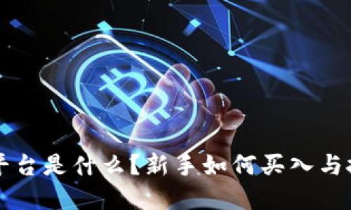 区块链平台是什么？新手如何买入与投资指南