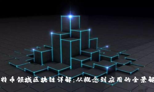 比特币领域区块链详解：从概念到应用的全景解析