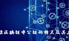 深入解读区块链中公链的特点及其应用