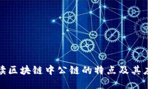 深入解读区块链中公链的特点及其应用价值