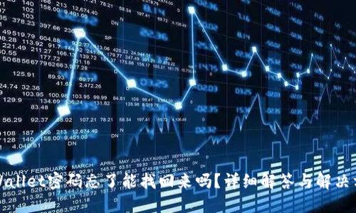 TPWallet密码忘了能找回来吗?详细解答与解决方案