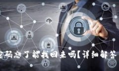 TPWallet密码忘了能找回来吗？详细解答