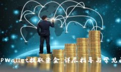 如何从TPWallet提取资金：详尽指导与常