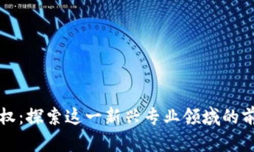 区块链版权:探索这一新兴专业领域的前景与挑战