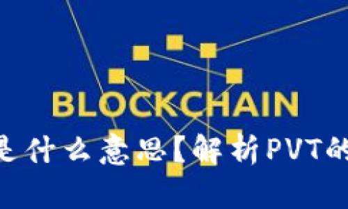 区块链PVT是什么意思?解析PVT的含义与应用