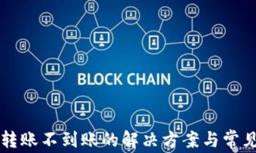 TPWallet转账不到账的解决方案与常见问题汇总