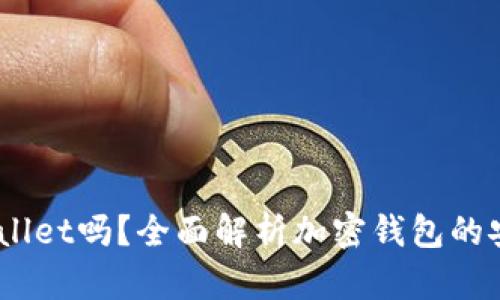 USDT可以放入TPWallet吗?全面解析加密钱包的安全性与使用便捷性