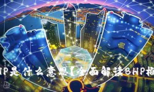 区块链BHP是什么意思?全面解读BHP概念与应用
